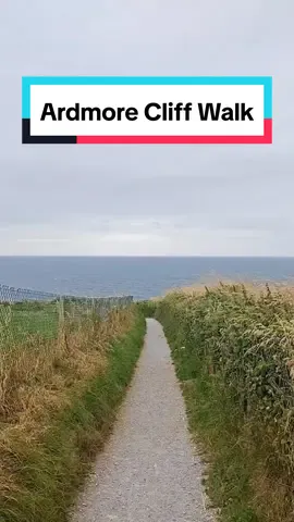 📍Waterford Cliff Walk a loop walk around the cliffs in Ardmore , perfect for your next Sunday walk 💚 #waterford #walkway #discoverireland #cliffwalk #walkidea #irishwalks #exploreireland #irishwalkidea 