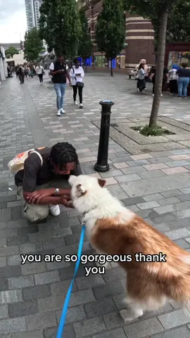 Interactions with my dog!!  #husky #anime #dogsoftiktok #fyp #foryou #demonslayer #foryoupage 