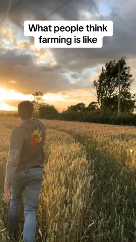 Its all sunshine and rainbows 🤫#farming#farm#agri#yfc