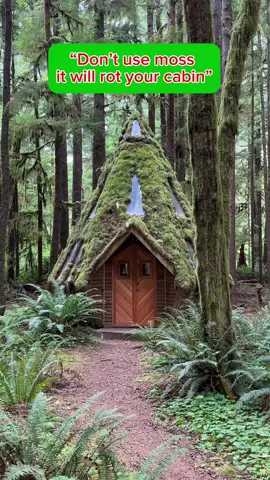 Everyone’s a critic 