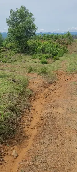 #CapCut #huế75 #xuhuong #hue 