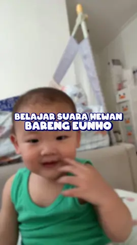 Belajar suara hewan dengan Eunho!#daehoonjulia #eunho 