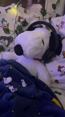 Kristen,come right back Ive been waitin for you #snoopy #snoopyplushie #buildabear #song #music #nightcore #sleeping #fypシ #cas #cigarretesafterxs #k 