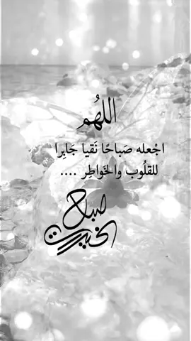 يأتي ⁧الصباح⁩ فيأتي معه الأمل والحب والحياة ،اللهم إجعله صباحاً نقياً جابراً للقلوب  والخواطر#صباح_الخير #كلمات_من_القلب #اكسبلورexplore #fypシ #saasa88 