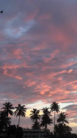 මයාකාරි වලාකුළු 🫶🏼🥹. For admin #fyp #foryoupage #fyppppppppppppppppppppppp #foryou #fypシ゚viral #fypage #onemillionaudition #onebillionaudition #viraltiktok #evening #eveningvibes #beach #beachvibes #sky #sea #clouds #cloud #sun #sunset #background #backgroundvideo #backgrounds #for_admin #for_admin❗ #for_admin❕ #sayuru_nirmal #ama #ama_001 #amaofficial #cinematic #cinematography #aesthetic #aesthetics #aestheticvibes  @𝙎 𝙞 𝙏 𝙃_🩵🕊️ @Dulmi_official ❤️‍🩹 @Chaniru_official ❤️‍🩹 @For_you @Rɪᴏᴏ 🌬️ @𝗦!𝗡𝗔 🫀 @_SENUWA_ 🪬 💐 🤍 