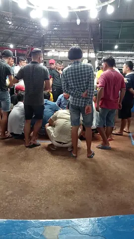 Cáp gà vòng 2 xổ 50. Ae gấp ăn quá 