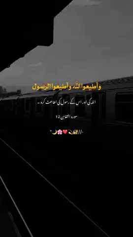 Beshak.....🌙 : : : #foryoupage #viwsproblme #islami_writes_burhan_tv  #whtsapp_stutes 