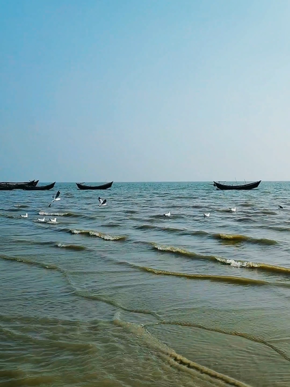 Close to Birds ❤️ #nature #milonhobekotodine #tiktok #bangladesh #tiktok?bangladesh #bdtiktokofficial #birds #flyingbirds #foryoupage #fyp #unfrezzmyaccount #viral #kuakata #কুয়াকাটা #view #seabeach #coast #boat #beachlife #videography #cinematic #trending #beachvibes #travel #beachlife #beach #nature #beach #travel #Summer #sea #nature #photography #sunset #Love #beachlife #ocean #sun #photooftheday #instagood #beautiful #vacation #travelphotography #holiday #picoftheday #sky #instagram #beachvibes #landscape #travelgram #waves #photo #sand #fashion #like #naturephotography #surf #playa #art #happy #beauty #summervibes #adventure #island #paradise #ig #praia #bikini #wanderlust #fun #follow #water #life #explore #sunrise #Lifestyle #blue #trip #clouds #model #bhfyp #style #instatravel #Fitness #beachday #relax #surfing 