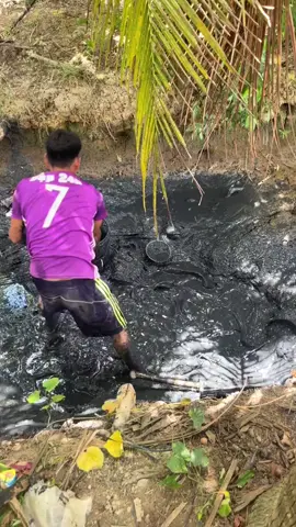 chiều qua nhà ông anh coi tác đìa bắt cá nha #xuhướng🥰🥰##miền_tây_sông_nước #xuhướng🥰🥰 