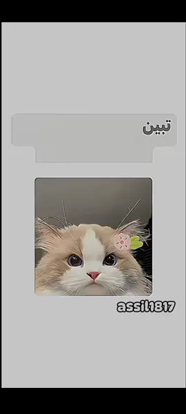 تبين ترسمين و ماعندك افكار#foryou #foryoupage #explore #viral #fypシ #explore #foryou #افكار_رسم 