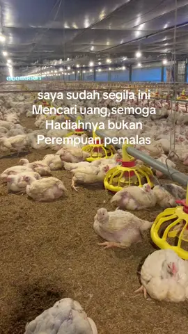 😇 #fyp #xyzbca#abk