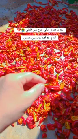 #الشعب_الصيني_ماله_حل😂😂  #😭😭  #عطوني حل سريع منشان أرواح لحدوديه😭😭😭 #🌶️  #ياهملالي 😭😭😭💔