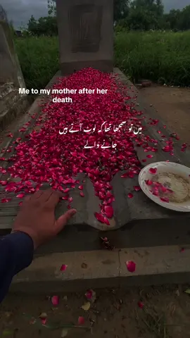 Me to my mother after her death 💔