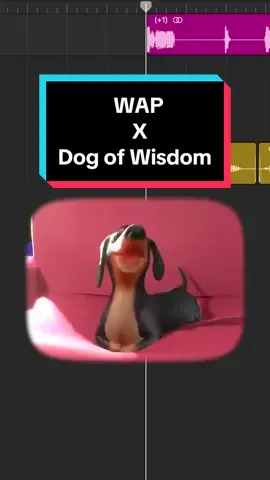 WAP x Dog of Wisdom #memes #mashup #remix #fyp #foryou #fypシ゚ #dogofwisdom 