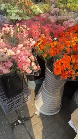 Thời gian sẽ cho bạn thấy ai xứng đáng với trái tim của bạn#fypシ #yeuhoa #flowers #trendflower #hoaxinh #hwadestudio 