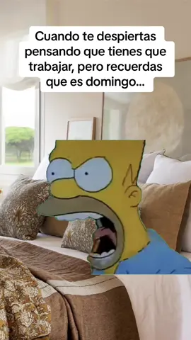 Buen Domingo 🤣🤣 #trabajo #humortiktok #domingo #rrhh #meme #CapCut 