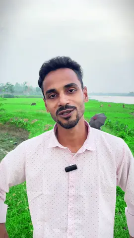 সফলতার আলোয় যদি রাঙাতে পারি নিজেকে...