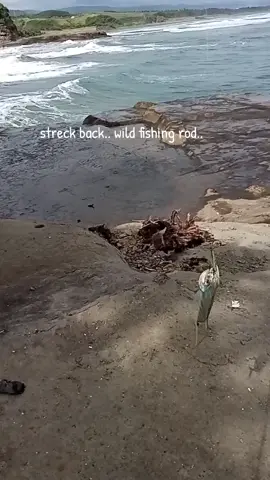 strek back, spot pantai selatan karang tepas.. #semuaorang 