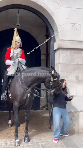 Biting the King's Horse! #kingsguard #royalguard #uk 