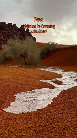 لازم نشارك بكل ترند🏃🏽‍♂️ - #تصويري📸 #اكسبلورexplore #شاص #ترند #الشتاء 