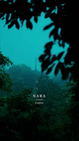 📍Okadera temple -岡寺- Nara, 奈良　 Beautiful places in Japan 🇯🇵  #japan #japantravel #japantrip #anime #animejapan #japananime #japantourism #japantour #japangram #japan🇯🇵 #traveljapan #tripjapan #torii #toriigate #japanstyle #japanculture #traveljapan #tripjapan #japangram  #nara #奈良