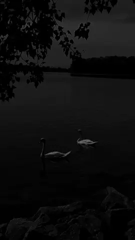 المنّ... من كبائر الذُّنوب...!؟ #أستغفر_الله_العظيم_واتوب_إليه #اللهم_صل_وسلم_على_نبينا_محمد 