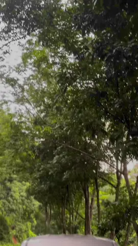 especia 🧀🌿… #support #repost #comment #trending #viralvideo #viral #onemillionaudition #everyone #foryoupage #foryou #CapCut #tiktok 