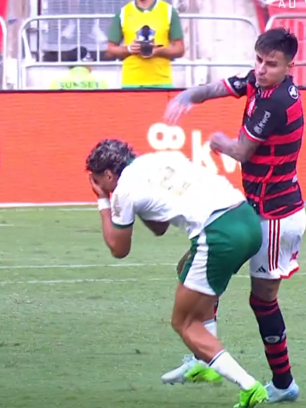 Erick Pulgar, do Flamengo, levou cartão amarelo neste lance com Richard Ríos #futebol #flamengo #palmeiras #brasileirao