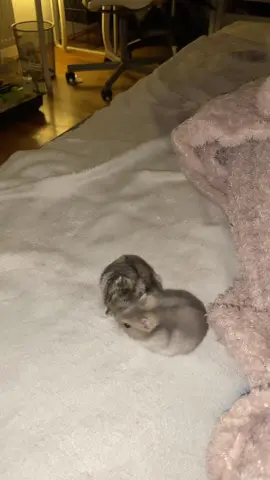 POMOCY #dlaciebie #tiktok #goviral #fyp #viralvideo 