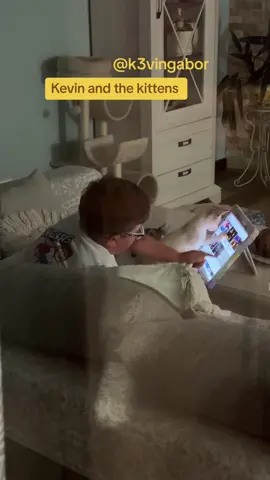 #k3vingabor #kittens #fypシ゚viral #happykid #lovekittens #happyday #fypage #tiktok 