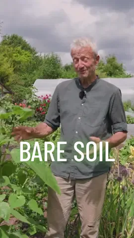 🌱Although you might hear it said that bare soil is not good because the sun hits it and it's sucking out the moisture, it's actually not true. I don't find with no dig, you've got compost mulch on top, and that makes a soft, dry surface. The compost itself can dry sometimes, but that's protecting moisture underneath, and it makes a capillary boundary.🌿 #weeding #nodig #nodiggarden #soil #fyp #foryoupage 