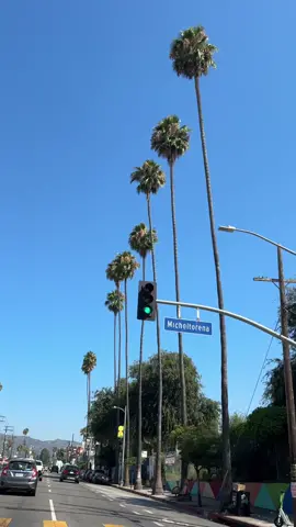 Saturday @Persona the shop / @GHETTORODEO & @Silverlake Flea 🤩 #shopping #haul #samplesale #fleamarket #vintage #finds #diml #saturday #weekendvlog #coffee #OOTD #losangeles 