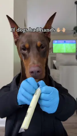 What if dogs had hands? 🤣 #fyp 
