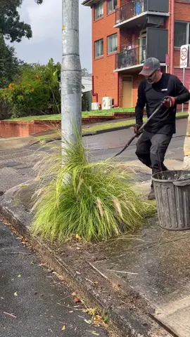Should Footpaths be kept clear for prams, wheelchairs and bicycles or keep it green? #asmr #satisfying