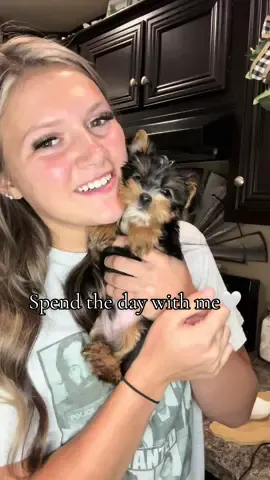 Goodnight Y’all🫶🏻🌙 #spendthedaywithme #ditl #dogmom #yorkie 