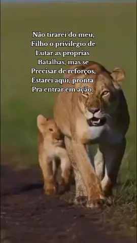 Não mexe com meus filhos. #naomexecomquemtaquieto #filho #filhos #protecao #leoa #mae #lutoeterno 