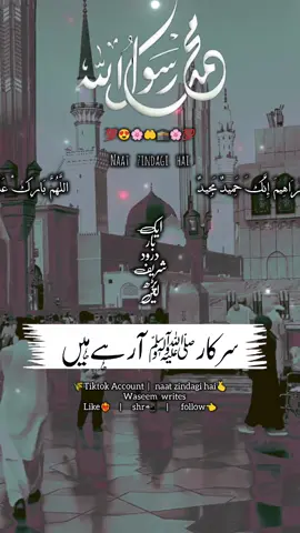 🕋🕊🥰🥀Sarkar ki aamad Marhaba#12rabi_ul_awal #islamic_video024 #naat_zindagi_hai #وسیم_ڑائیس 
