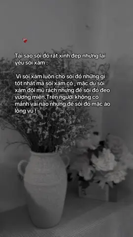 Thế giới này con một người như sói xám không ?
