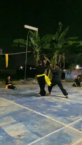 Amung balet 😬#stkcikarangkotaindustri #stk #pshwindonesia #cikarang #stkjaya #pshwjabodetabek #stkcikarang #pshwcikarang #stkjabodetabek #deadlydance 