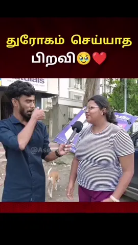 Unconditional love🥹🫂🫀 #bujimaa🐶 #streetdogs #paw🐾1194🐕 #dogloverforever #fypシ 