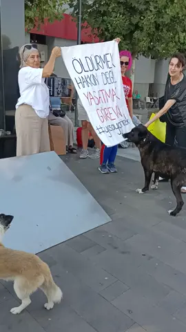 #fypシ゚viral #keşfet #keşfetteyizzz #fyp #sakarya 