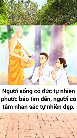 Sống trên đời do 4 chữ Phước Đức Nhân Duyên quyết định #phatphapnhiemmau #dolam #tuyenbh 