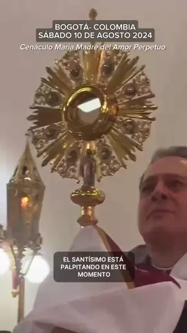 Milagro eucarístico en Colombia, por la realización del santo rosario por el pueblo  venezolanos.  Milagro eucarístico: hostia palpita como un corazón en la Custodia frente a todos en Bogotá,  sacerdote rompe en llanto. La manifestación se dio en la Parroquia San Joaquín del barrio Las Ferias en Bogotá El sabado 10 de agosto, en medio del rosario de postración ofrecido por Colombia y Venezuela, los asistentes a la Parroquia San Joaquín, en Bogotá, vivieron un milagro de la mano del Padre Juvel Zuluaga Agustino. Cuando el sacerdote ingresó con el Santísimo para exponerlo sobre el altar, las personas presentes se dieron cuenta que la hostia que se encuentra en el centro de este ornamento litúrgico palpitaba con fuerza dentro de la custodia. Esto sorprendió tanto al padre como a los asistentes, por lo que el Santísimo fue sostenido en manos del religioso mientras que una mujer comenzó a realizar la oración con la voz entrecortada. 