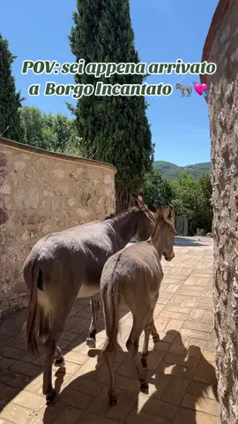La bellezza di questo posto, meraviglioso 💘❤️🫏 @Borgo Incantato Spoleto #borgoincantatospoleto #borgoincantato #spoleto #umbria #italy #asino #donkey #npt #fyp #voliamoneiperte 