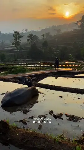 Masih ada Tempat se Asri ini di Pinggiran Bandung. kp cisema, Banjaran kab bandung #suasanapedesaan #asri #bandung #viral #cisema 