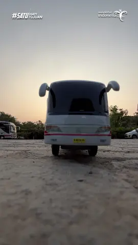 DREAM BIG ✨ #buspariwisata #busmania #busindonesia #buswhitehorse