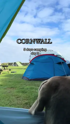 And it was the best day>> Holiday, vacation, teenagers  #CampingInCornwall #CornwallAdventure #FamilyCamping #TeenTravel #CornwallExploration #OutdoorFun #CampingLife #ExploreCornwall #FamilyVacation #campingwithteenages 