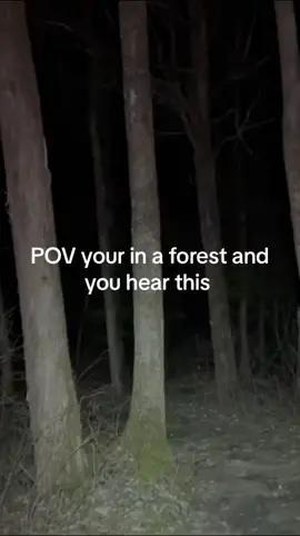 For context  this is the sound jason makes when hes near #jasonvoorhees #horror #friday13  #fyp #fup #viral 