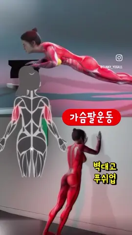 집에서하는 근력운동🔥 헬스장 갈 필요❌ 여자 팔운동 루틴  벽대고 푸쉬업 침대나 의자대고 팔운동 무릎대고 푸쉬업 #근력운동 #홈트루틴 #팔운동 #팔운동루틴 #써니요가 #써니요가줄넘기 #홈트는써니요가 