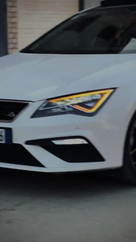 Machalah❤️#tiktokdz🇩🇿 #leonfr #شعب_الصيني_ماله_حل😂😂 #fyp #foryou 